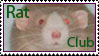 Rat Club Stamp