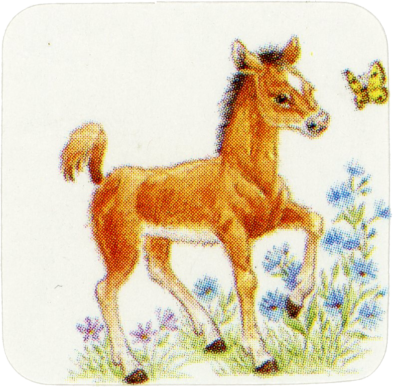 Horse sticker