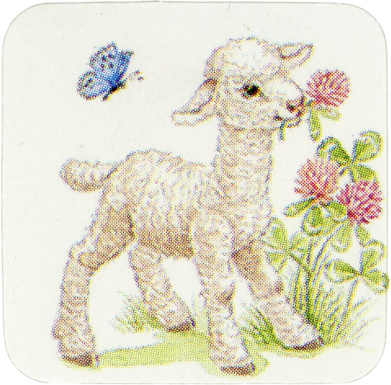 Lamb sticker