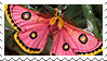 Moth Stamp