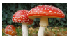 Mushroom Stamp