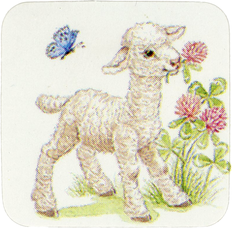 Lamb sticker